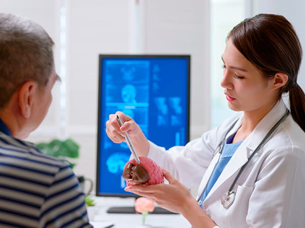 A young female doctor is using a brain model in an explanation to an older male patient. A young female doctor is using a brain model in an explanation to an older male patient.